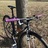 SpaceCoastPurrp (Cinelli Tutto)