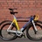 Antonov Ukraine national team colnago