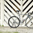 Cinelli Mash 2010