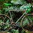 Wittson Custom Road Disc 246