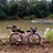 Vicini Roubaix
