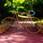 Mercier Pink Track Bike