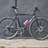 Surly straggler
