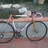 COLIAN gold road bike