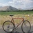 Tomi Super Prestigio (For Sale)