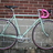 Cannella Canadian Single Speed