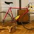 Casati "Gold Line"