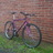 Bianchi Osprey