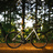 cervelo | caledonia