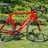 Wilier carbonara