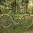 Green Ebisu All Purpose