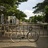 Cinelli mash grey