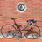 TREK ALPHA SL ALU-CARBON BONTRAGER EDIT