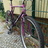 GT Talera