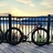 NJS Bridgestone