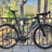 Parlee Altum