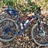 Wilier 101x
