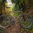 Bottecchia Sunkiss 26
