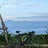 Cannondale CAAD6 2001