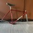 Olmo track (for sale)
