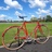 Peugeot Single Speed Porteur
