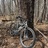 1995 Diamondback Vertex