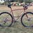 Wilde Rambler SL