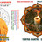 Best Astrologer, Love Marriage Problems,