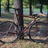 affinity lo pro brick red