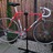 Flandria Super Prestige 1977