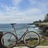 Cinelli Mash Histogram 2014