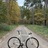 Ardently Silhuette Tracklocross