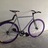 Schwinn Madison