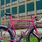 Ponyheart triple-triangle roadbike