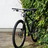 Cannondale Flash 29