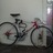 1987 Nishiki linear time trial bike