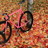 Pink Cinelli