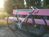 '05 Pista Concept photo