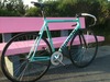 '05 Pista Concept photo