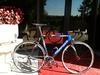 '06 Pinarello Paris photo