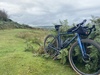 18Bikes Custom Gravel photo