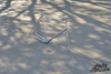 1959 Rickert trackframe #2. (sold) photo