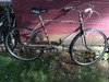 1964 Sears Roebuck's 3 Speed Rat Bike photo