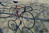 1965 Cinelli sc pista #4. photo