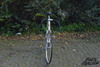 1970's Pogliaghi pista #5. photo