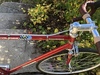 1971 Gitane Super Corsa fixed/SS photo