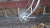 1972 Motobecane Le Champion photo