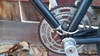 1972 Motobecane Le Champion photo