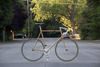 1973 Rodriguez Pista (Frame for Sale) photo