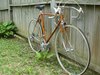 1974 Raleigh International photo